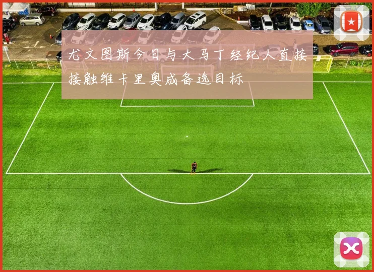尤文图斯今日与大马丁经纪人直接接触维卡里奥成备选目标